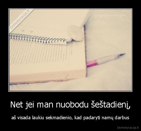 Net jei man nuobodu šeštadienį, - aš visada laukiu sekmadienio, kad padaryti namų darbus