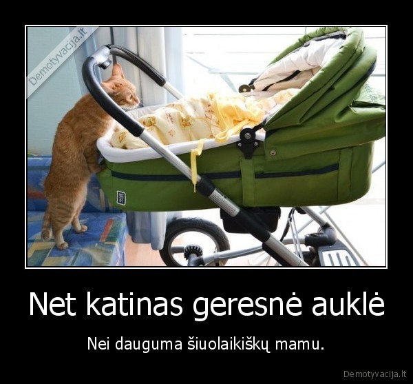 Net katinas geresnė auklė - Nei dauguma šiuolaikiškų mamu.