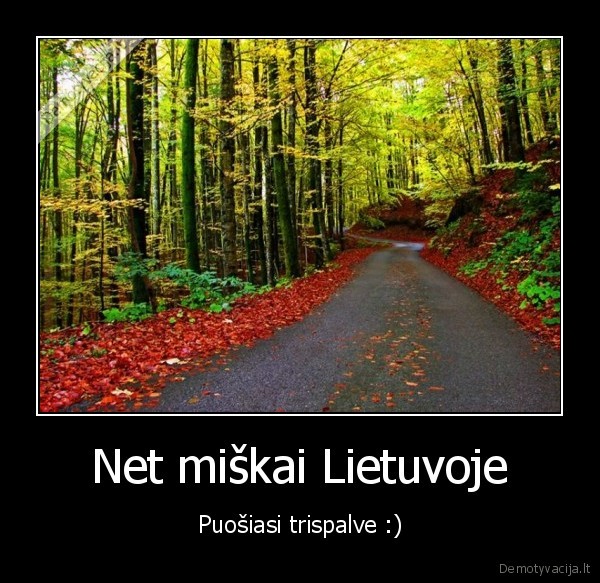 Net miškai Lietuvoje - Puošiasi trispalve :)