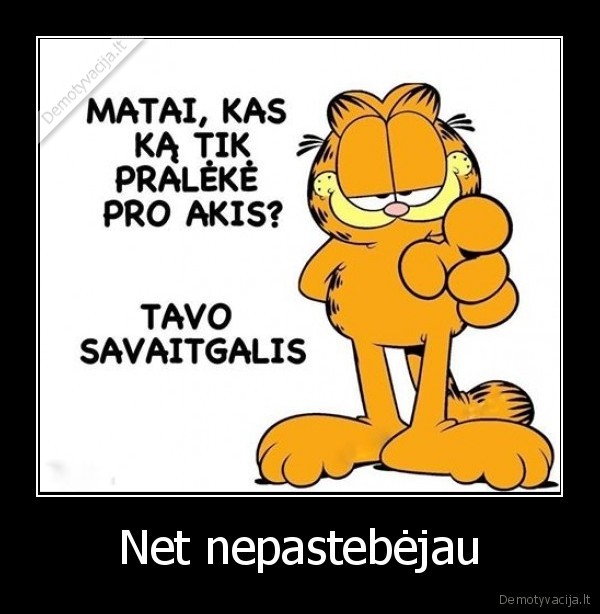 Net nepastebėjau - 