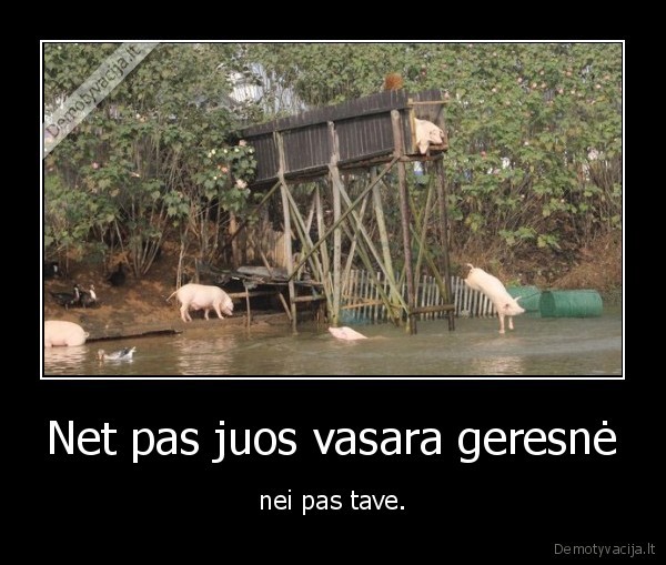 Net pas juos vasara geresnė - nei pas tave.