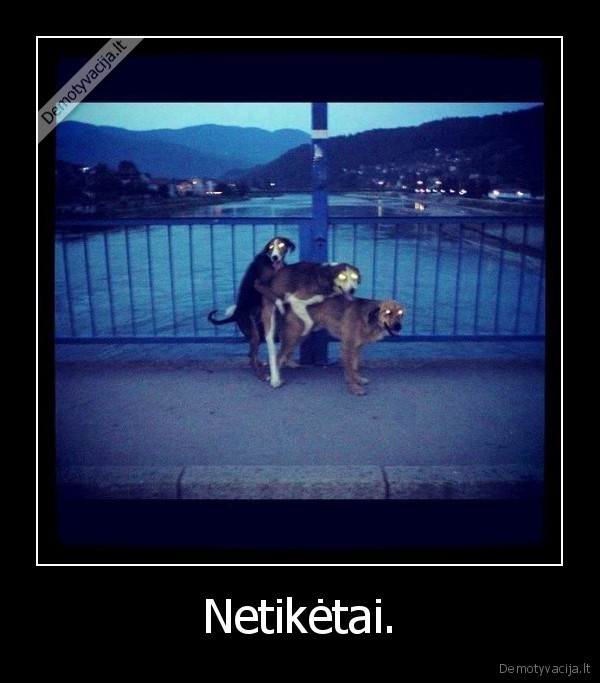 Netikėtai. - 