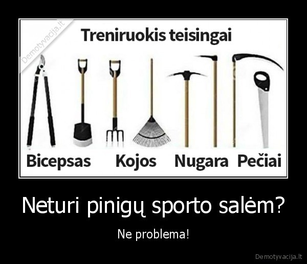 Neturi pinigų sporto salėm? - Ne problema!