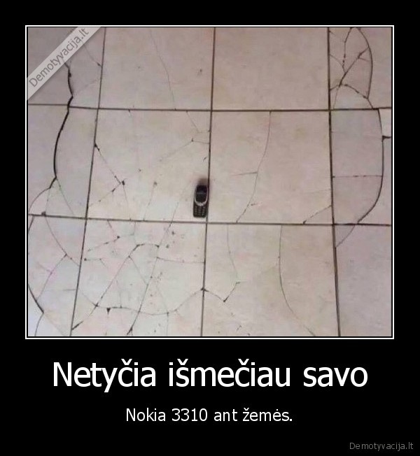 Netyčia išmečiau savo - Nokia 3310 ant žemės.