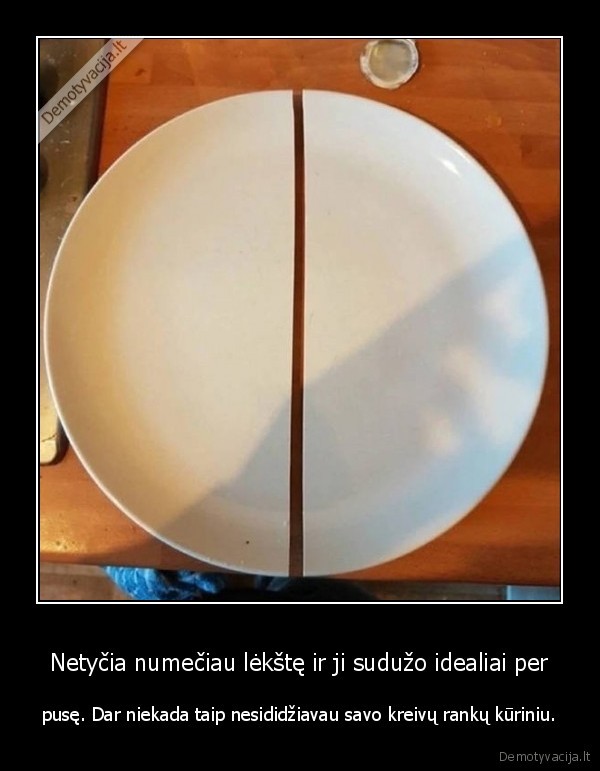 Netyčia numečiau lėkštę ir ji sudužo idealiai per - pusę. Dar niekada taip nesididžiavau savo kreivų rankų kūriniu.