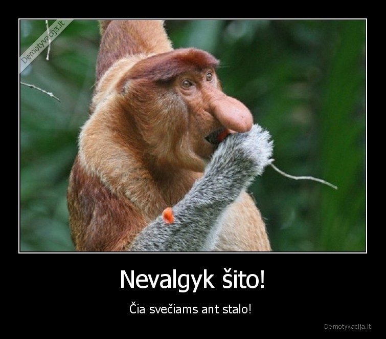 Nevalgyk šito! - Čia svečiams ant stalo! 