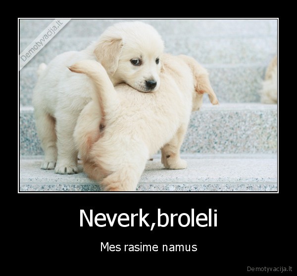 Neverk,broleli - Mes rasime namus