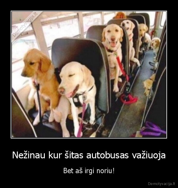 Nežinau kur šitas autobusas važiuoja - Bet aš irgi noriu!