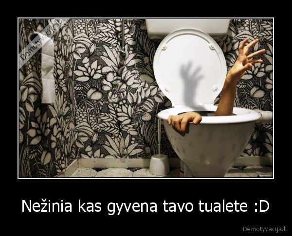 Nežinia kas gyvena tavo tualete :D - 