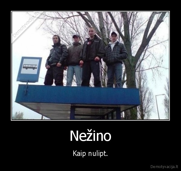 Nežino - Kaip nulipt.