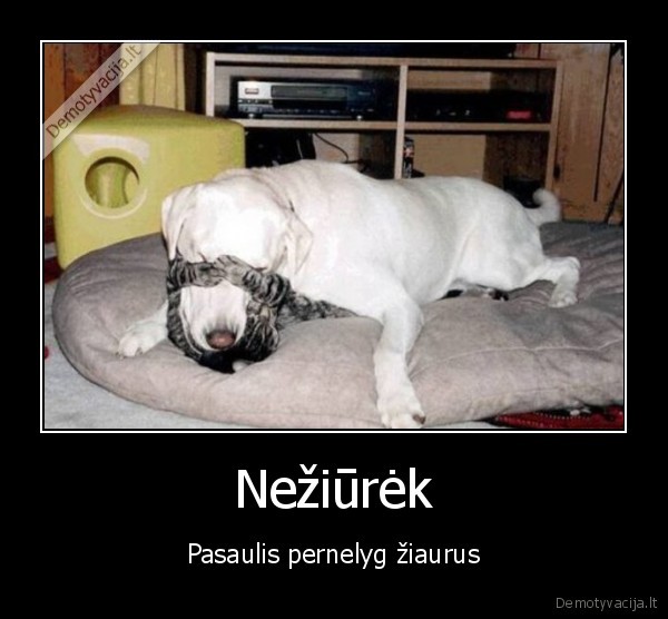 Nežiūrėk - Pasaulis pernelyg žiaurus