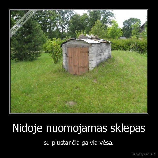 Nidoje nuomojamas sklepas - su plustančia gaivia vėsa.