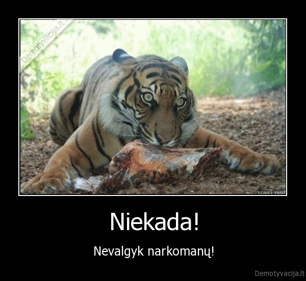 Niekada! - Nevalgyk narkomanų!