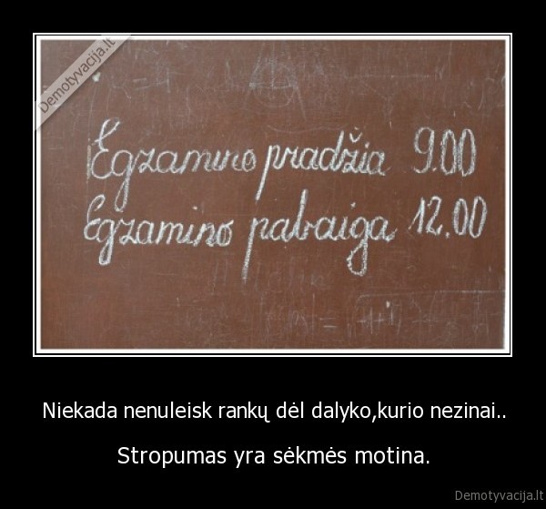 Niekada nenuleisk rankų dėl dalyko,kurio nezinai.. - Stropumas yra sėkmės motina.