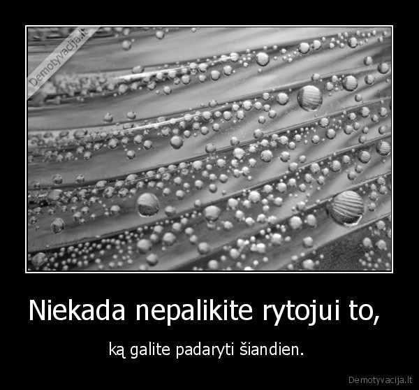 Niekada nepalikite rytojui to,  - ką galite padaryti šiandien. 