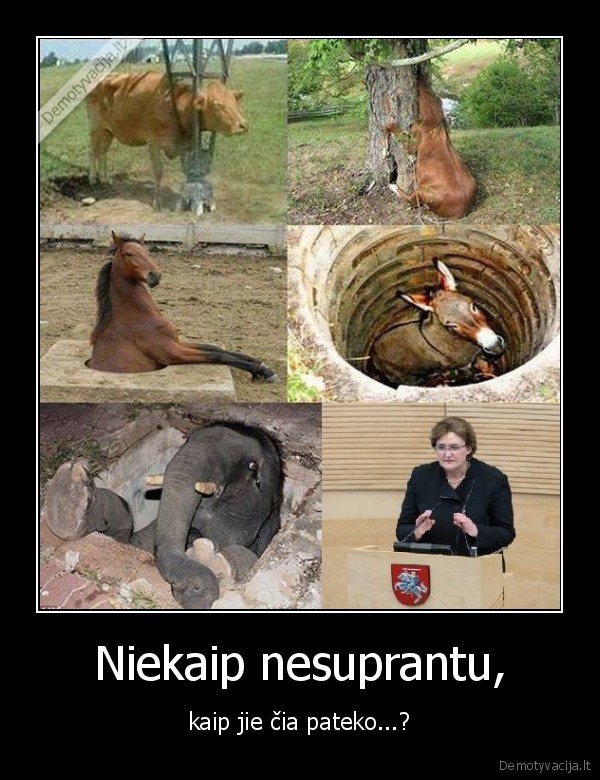 Niekaip nesuprantu, - kaip jie čia pateko...?