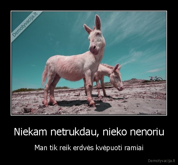 Niekam netrukdau, nieko nenoriu - Man tik reik erdvės kvėpuoti ramiai