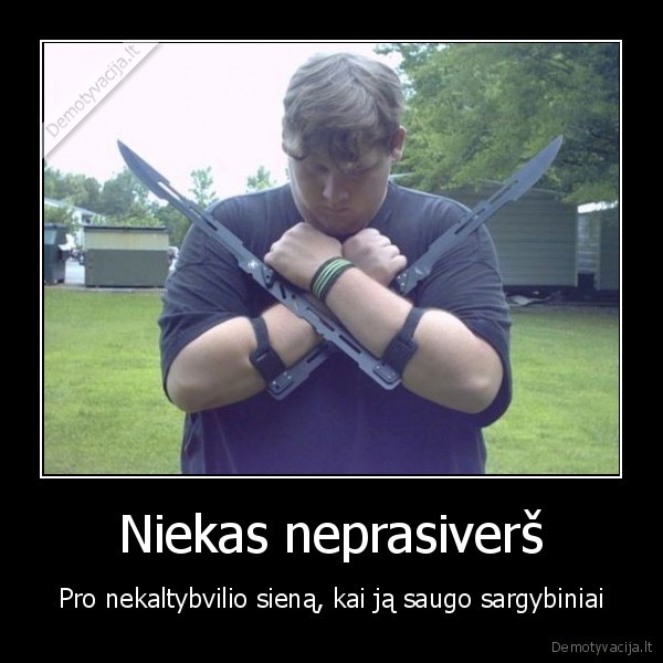 Niekas neprasiverš - Pro nekaltybvilio sieną, kai ją saugo sargybiniai