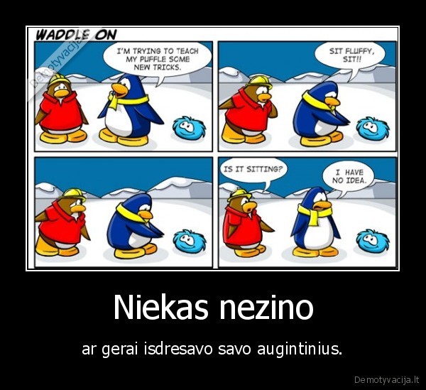 Niekas nezino - ar gerai isdresavo savo augintinius.