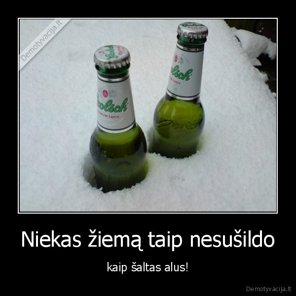 Niekas žiemą taip nesušildo - kaip šaltas alus!