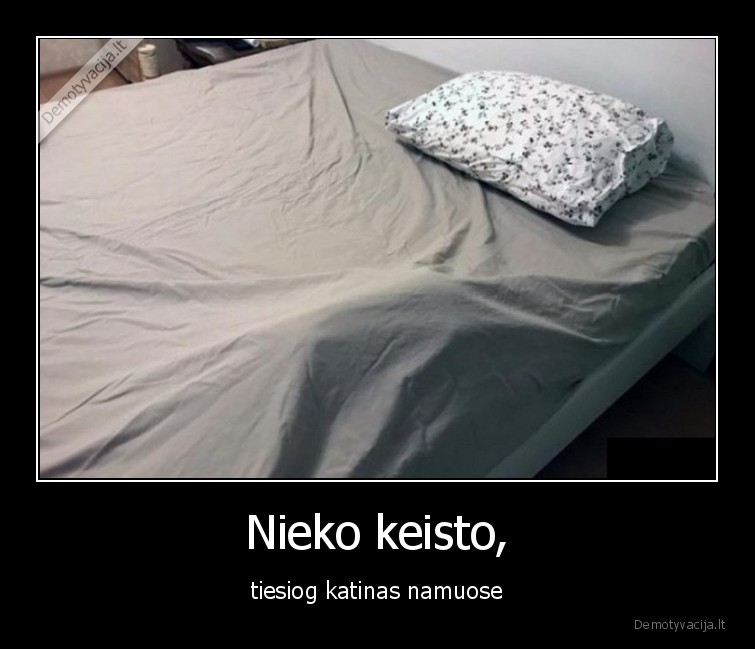 Nieko keisto, - tiesiog katinas namuose