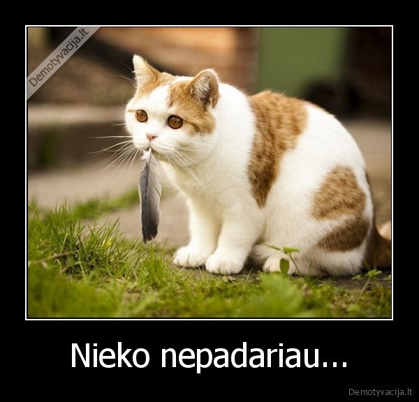 Nieko nepadariau... - 