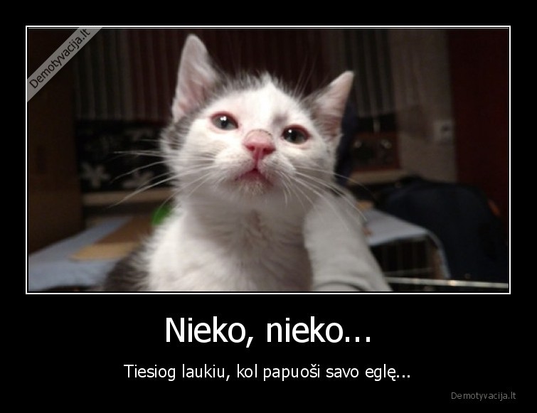 Nieko, nieko... - Tiesiog laukiu, kol papuoši savo eglę...