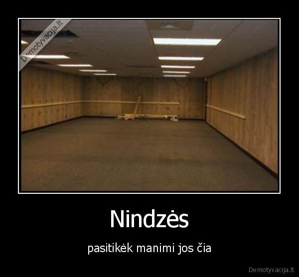 Nindzės - pasitikėk manimi jos čia