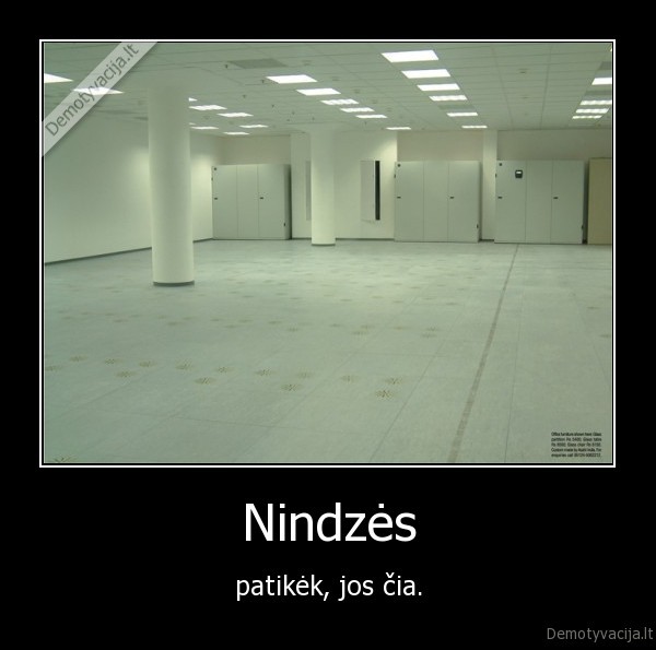 Nindzės - patikėk, jos čia.