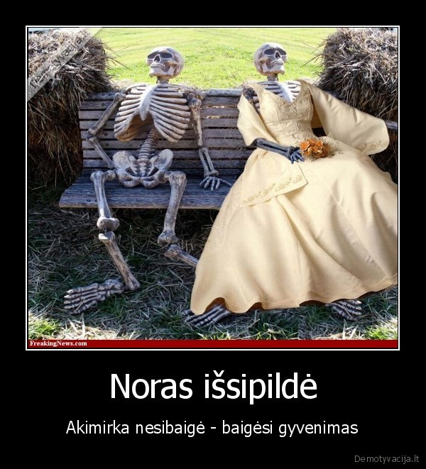 Noras išsipildė - Akimirka nesibaigė - baigėsi gyvenimas