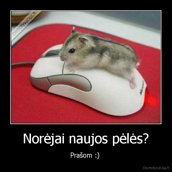 Norėjai naujos pėlės? - Prašom :) 