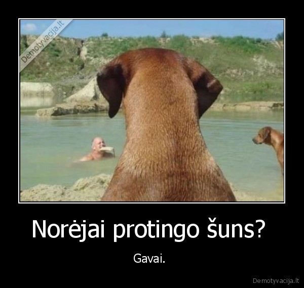 Norėjai protingo šuns?  - Gavai. 