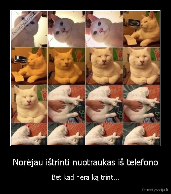 Norėjau ištrinti nuotraukas iš telefono - Bet kad nėra ką trint...