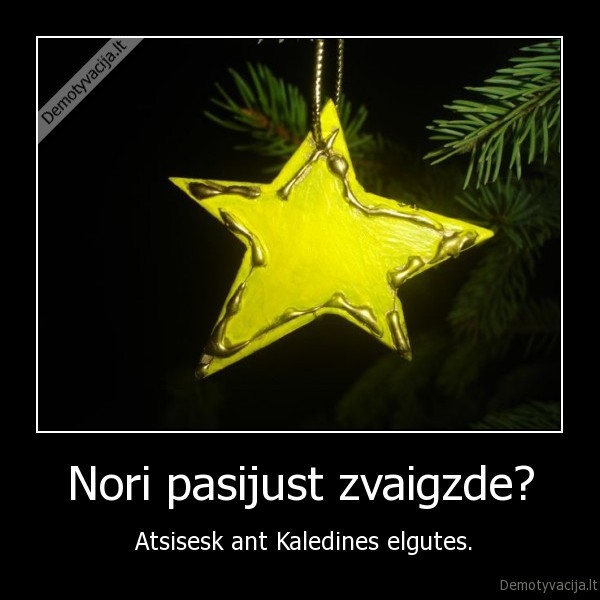 Nori pasijust zvaigzde? -  Atsisesk ant Kaledines elgutes.