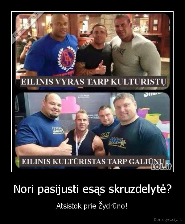 Nori pasijusti esąs skruzdelytė? - Atsistok prie Žydrūno!