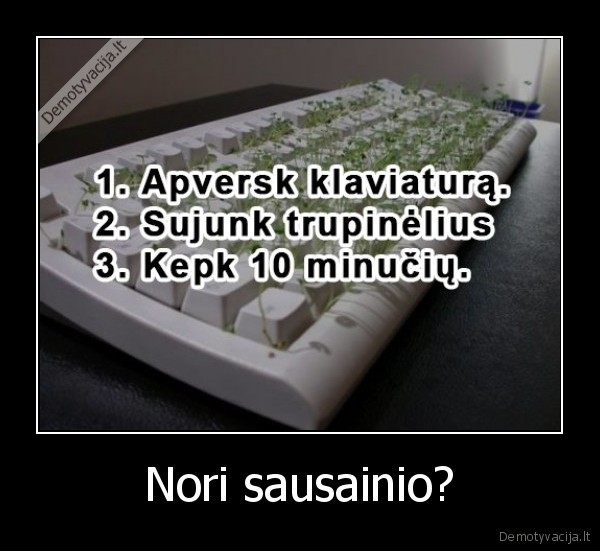 Nori sausainio? - 