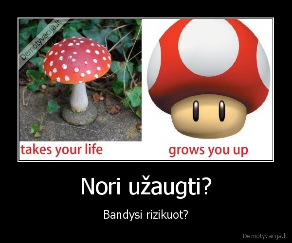 Nori užaugti? - Bandysi rizikuot?