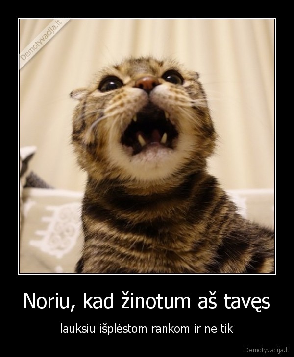 Noriu, kad žinotum aš tavęs - lauksiu išplėstom rankom ir ne tik