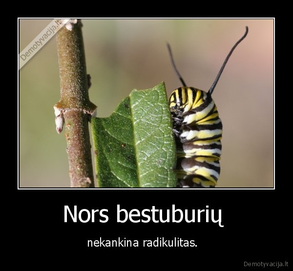 Nors bestuburių  - nekankina radikulitas.  