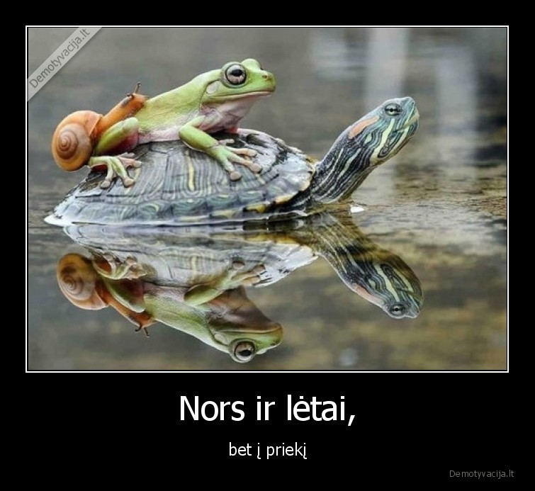 Nors ir lėtai, - bet į priekį