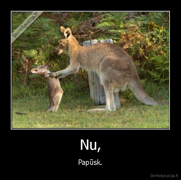 Nu, - Papūsk.