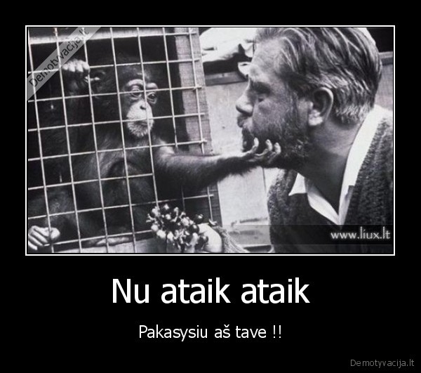 Nu ataik ataik - Pakasysiu aš tave !!