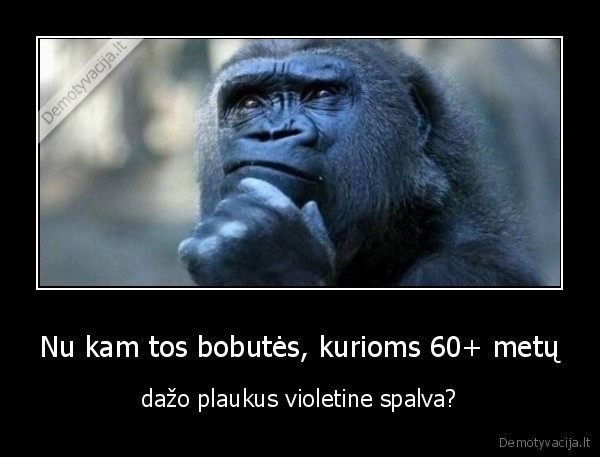 Nu kam tos bobutės, kurioms 60+ metų - dažo plaukus violetine spalva?