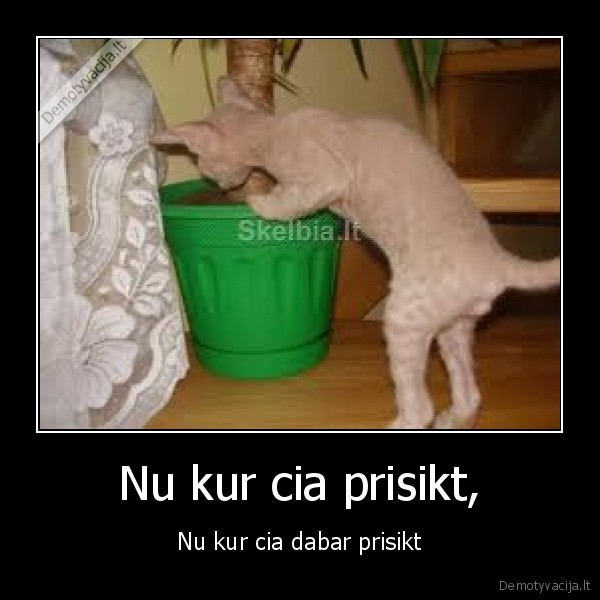 Nu kur cia prisikt, - Nu kur cia dabar prisikt