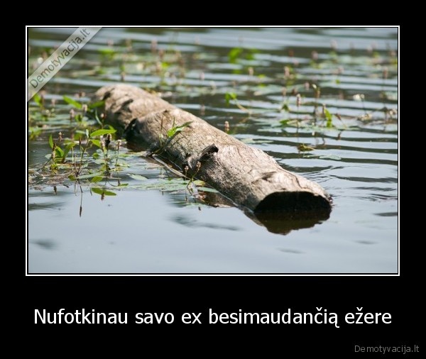 Nufotkinau savo ex besimaudančią ežere - 