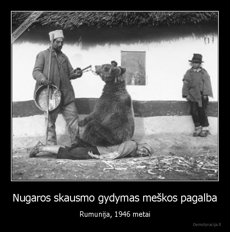 Nugaros skausmo gydymas meškos pagalba - Rumunija, 1946 metai