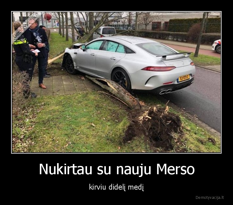 Nukirtau su nauju Merso - kirviu didelį medį