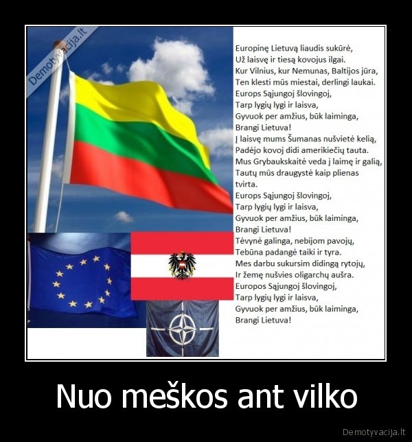 Nuo meškos ant vilko - 