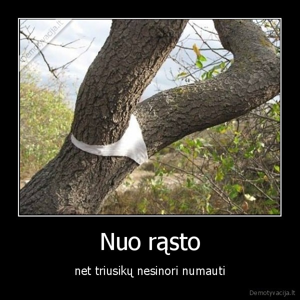 Nuo rąsto - net triusikų nesinori numauti