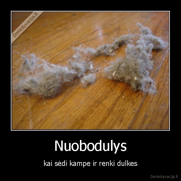 Nuobodulys - kai sėdi kampe ir renki dulkes